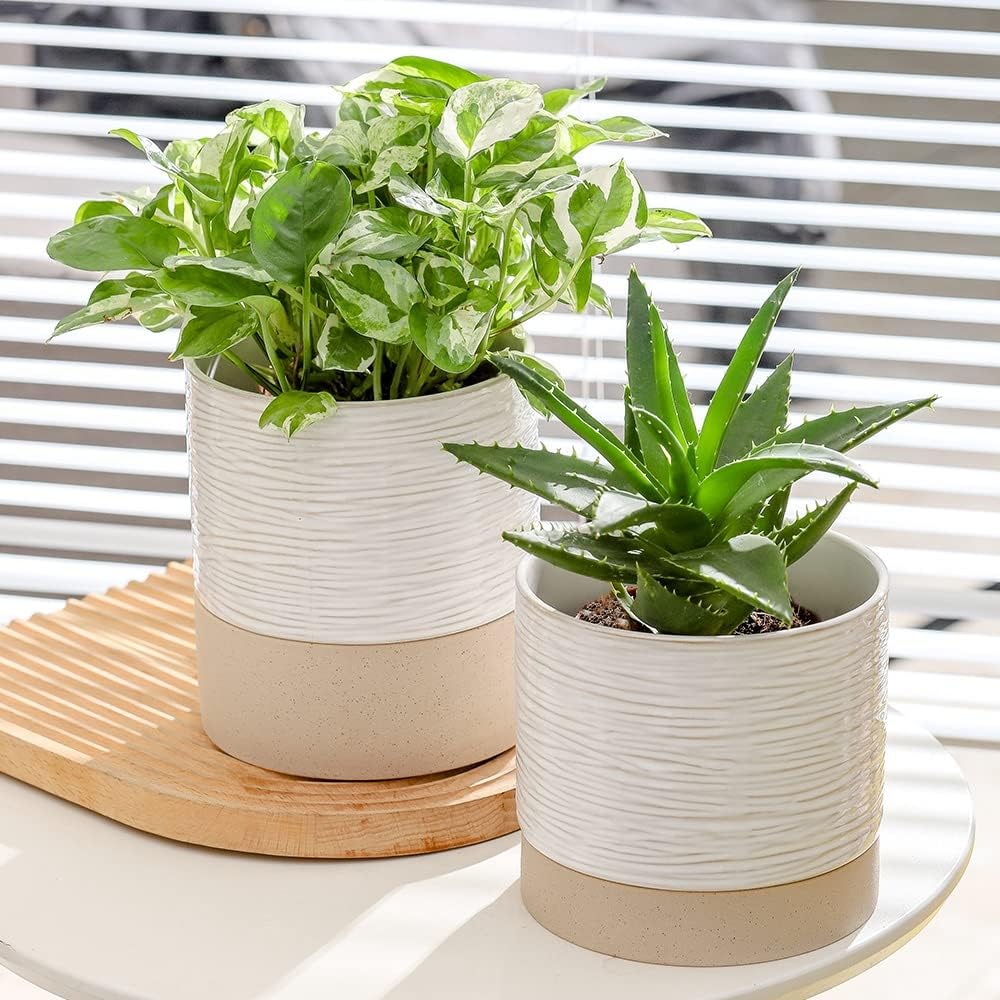 Nihow Ceramic Plant Pot: 6 Inch Planter with Drainage Hole & Saucer for Indoor & Outdoor Plants - Cylinder Round Flower Pot for Succulent/Herbs/Violets - Cream White & Brown