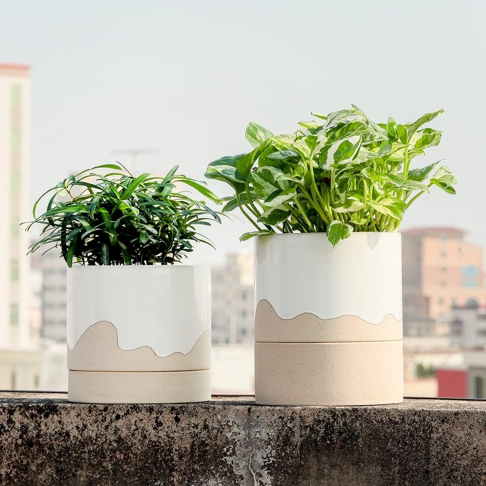 Nihow Self Watering Plant Pot: 6 Inch Ceramic Planter with Drainage Hole & Water Storage Plus for Indoor & Outdoor Plants - Cylinder Round Flower Pot for Succulent/Herbs/Violets - White & Nature