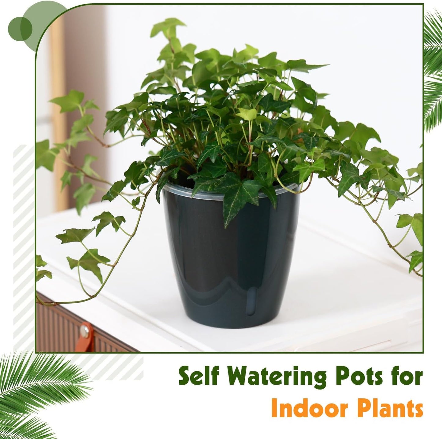 Self Watering Pots for Indoor Plants, 12-Pack 5'' Self Watering Planter with Drainage Holes, Small African Violet Pots with Water Level Indicator, Clear Wick Pot, Black