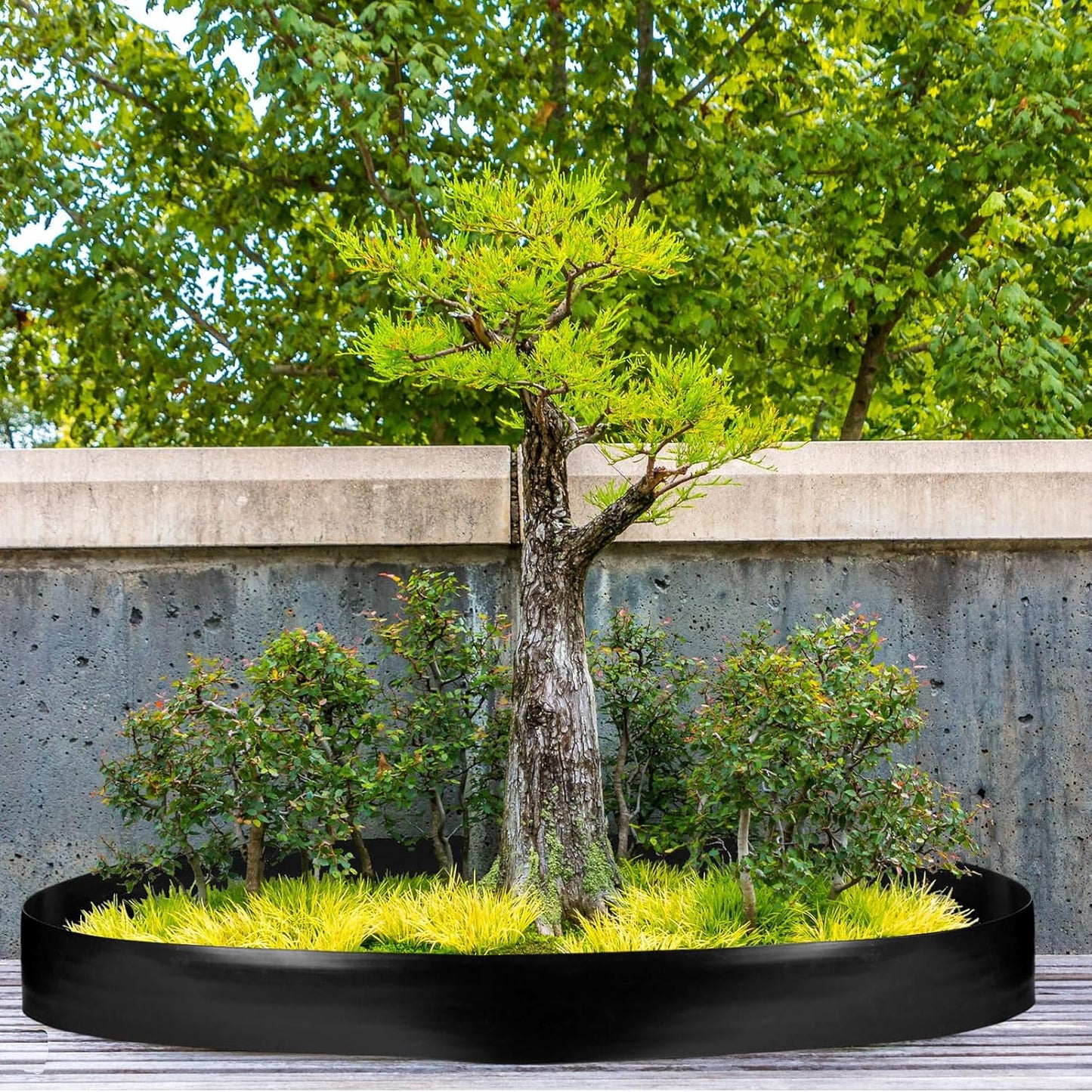 6 Inch Tall 66 ft Length Landscape Plastic Edging Kit with Hammer Spikes Plastic Garden Flower Bed Edging Landscape Border for Gardens Border Grass Yard Lawn (Black)