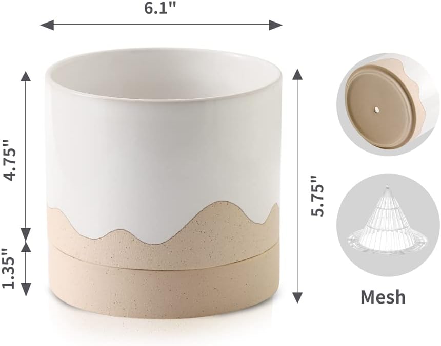 Nihow Ceramic Plant Pot: 6 Inch Planter with Drainage Hole & Saucer for Indoor & Outdoor Plants - Cylinder Round Flower Pot for Succulent/Herbs/Violets - White & Nature
