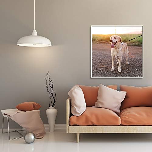 NWT Custom Framed Canvas Prints with Your Photo for Pets, Personalized Canvas Wall Art for Living Room, Bedroom - 24x24 inches