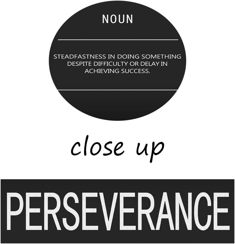Office Decor Inspirational Canvas Wall Art Motivational Painting Perseverance Noun Pictures Modern Inspiring Entrepreneur Quote Success Posters and Prints Artwork Home Gym Decor[24" W x 36" H]