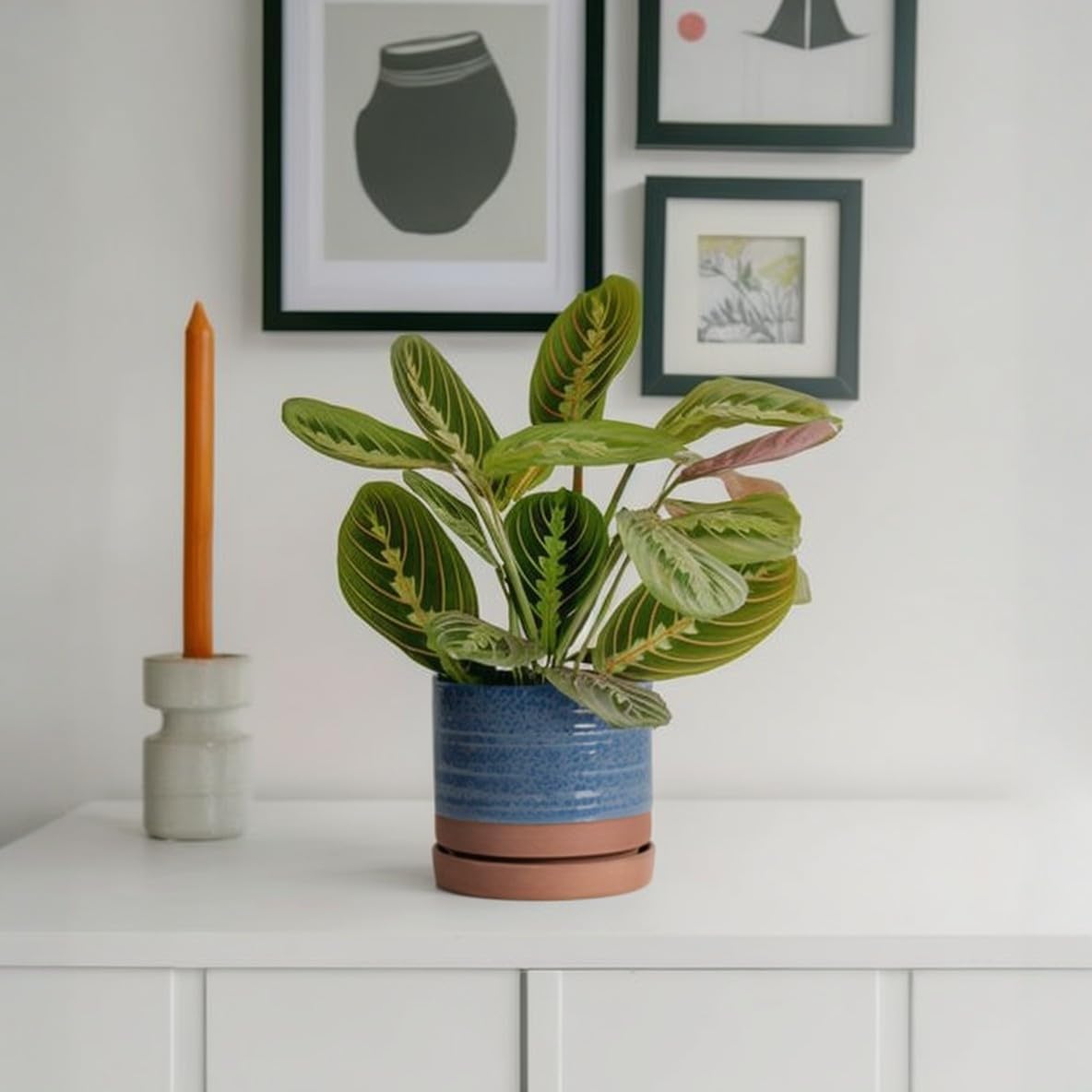 6 Inch Plant Pots, Ceramic Planter Pot with Drainage Hole & Saucer, Indoor/Outdoor Cylinder Round Planter Pot, Aqua Blue & Terracotta Red