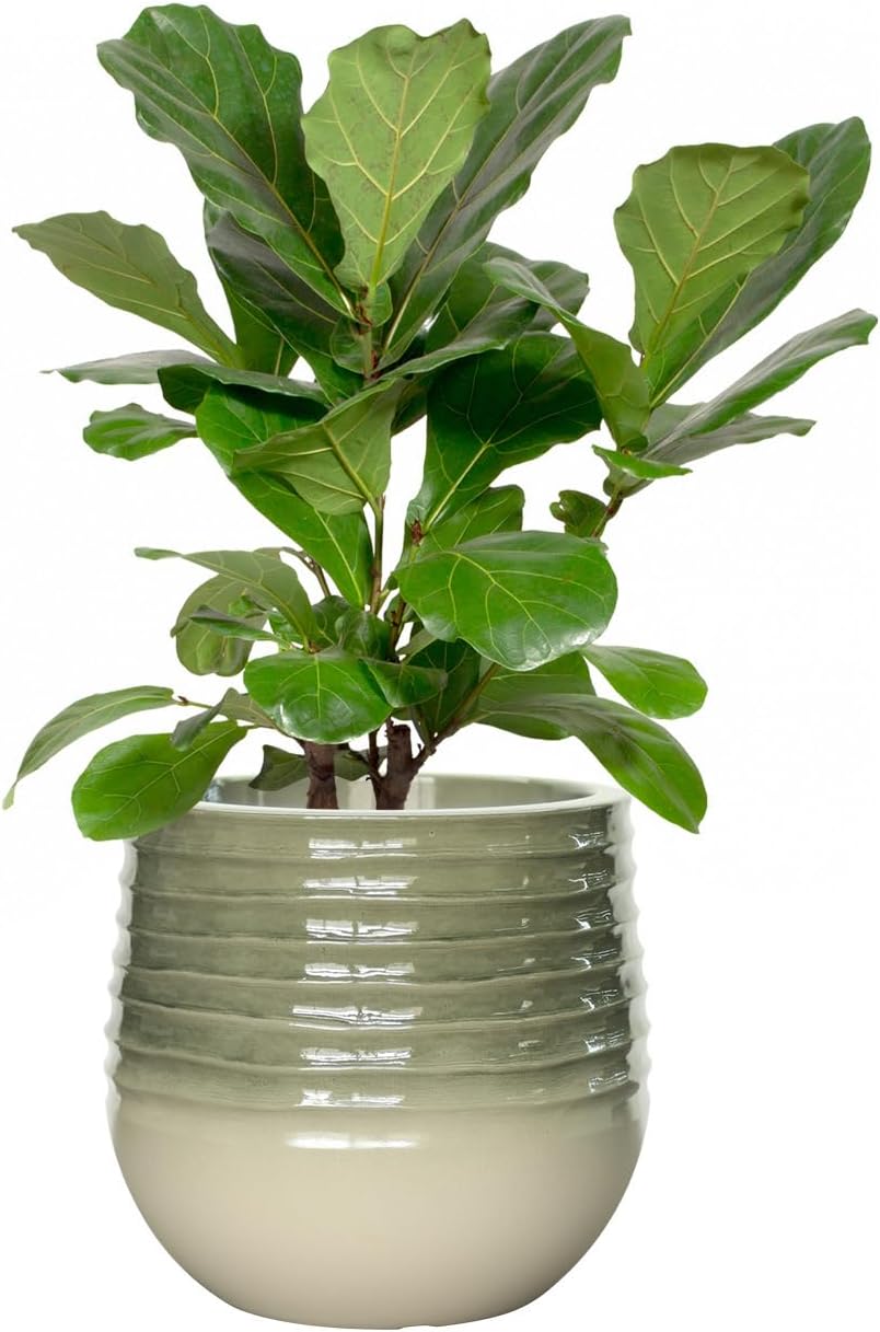 10.8" H Resin Tall Planters for Outdoor Plants, Modern Emerald Round Tapered Plastic Flower Pot for Outdoor and Indoor Plants, Large Plant Pot with Drainage Holes and Rubber Plug for Home Garden Patio