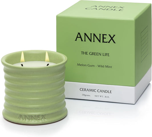 Scented Luxury Candles Outdoor Mosquito Bug Repellent Ceramic Jars, Soy Wax | The Green Life, Large Natural Candle - Green Melon & Peppermint | Non Toxic, 2 Wicks, Reusable Jar