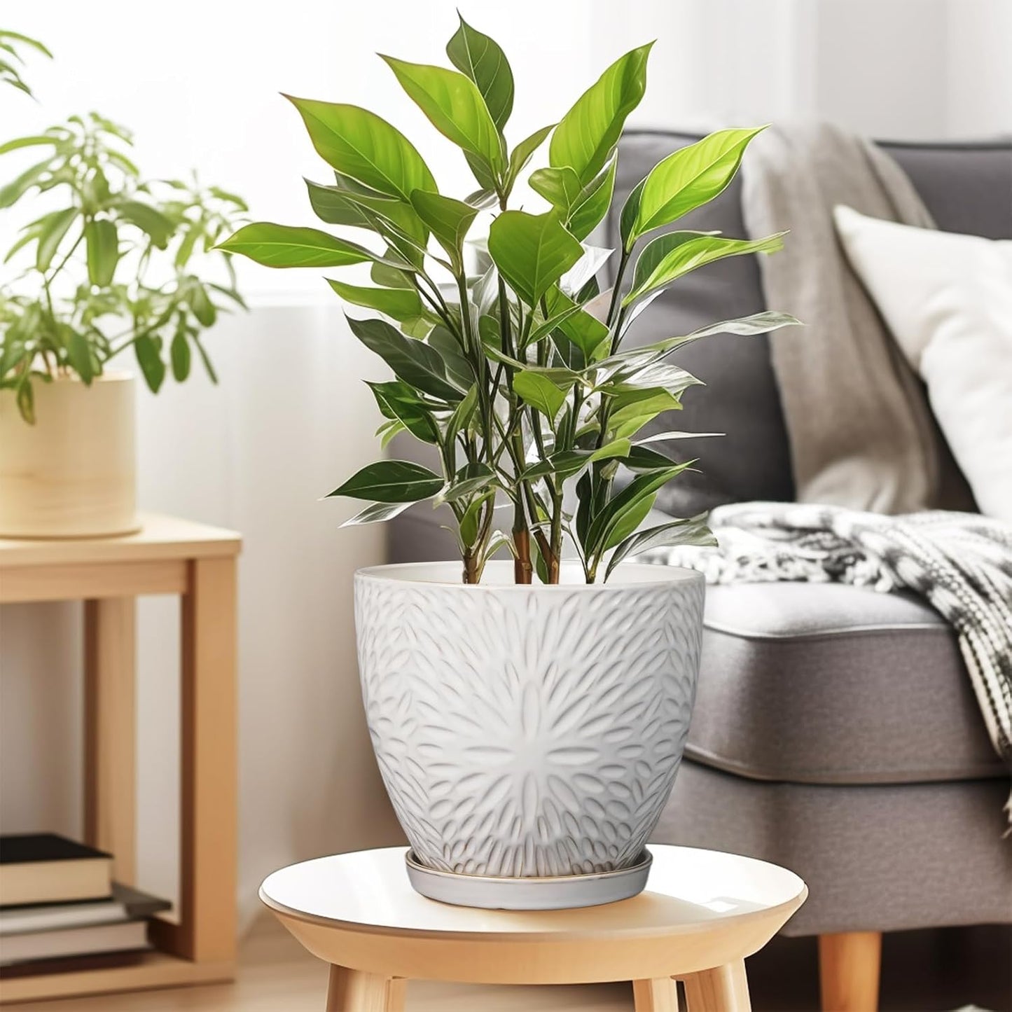 G EPGardening 8 Inch Ceramic Plant Pot with Drainage Hole and Saucer Round Planter Pot for Indoor Outdoor Plants Modern Large Flower Pot White