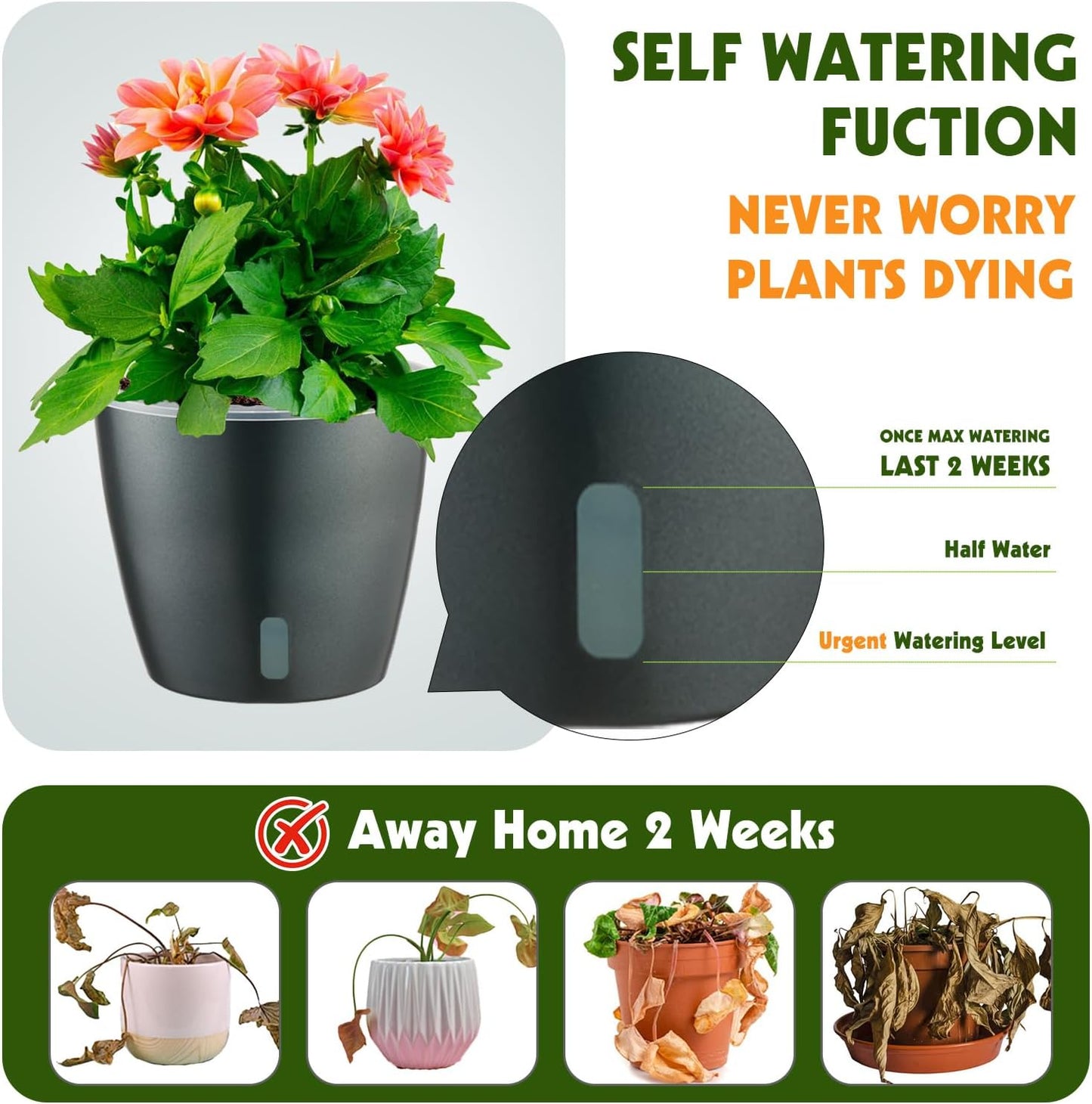 Self Watering Pots for Indoor Plants, 6-Pack 5'' Self Watering Planter with Drainage Holes, Small African Violet Pots with Water Indicator, Clear Wick Orchid Pot, Grey Gold