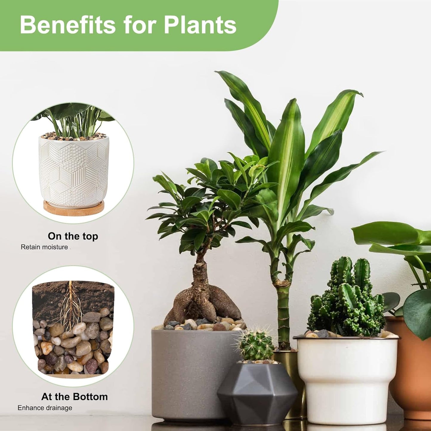 5 lbs Drainage Rocks for Potted Plants, 1/5 Inch Small Pebbles for Indoor Plants, Decorative Gravel for Vases, Bamboo, Succulent, Terrarium, Crafts, Cactus