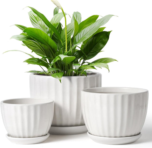 4/5/6 Inches Ceramic Plant Pots with Drainage Holes and Saucers, Round Flower Pots for Indoor Plant, Modern Flower Planters Set of 3 (White-Big Size)