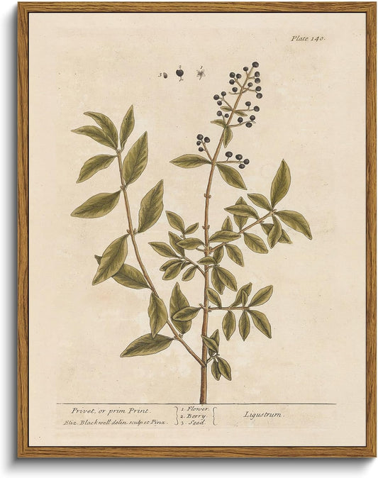 VIYYIEA Framed Canvas Wall Art Home Decor Boho Plant Wall Decor Minimalist Botanical Print Canvas Wall Art Pictures for Rustic Vintage Farmhouse Home Kitchen Room Decor 11x14in