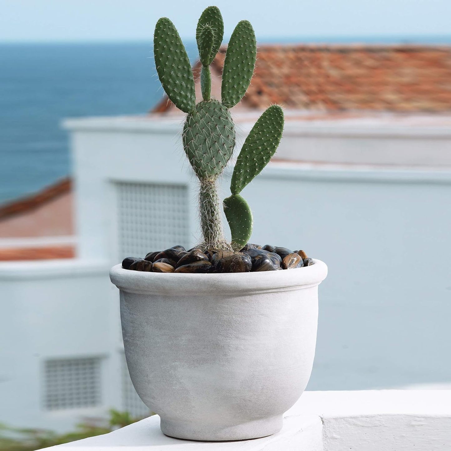 Crescent Garden Agave Planter, Charming Old-World Plant Pot, 14-Inch (Rust)