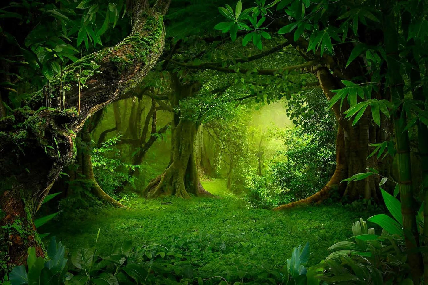 Green Forest Wallpaper Ancient Large Trees Wall Mural for Bedroom Living Room Bathroom Sofa Background (Non-self-Adhesive)