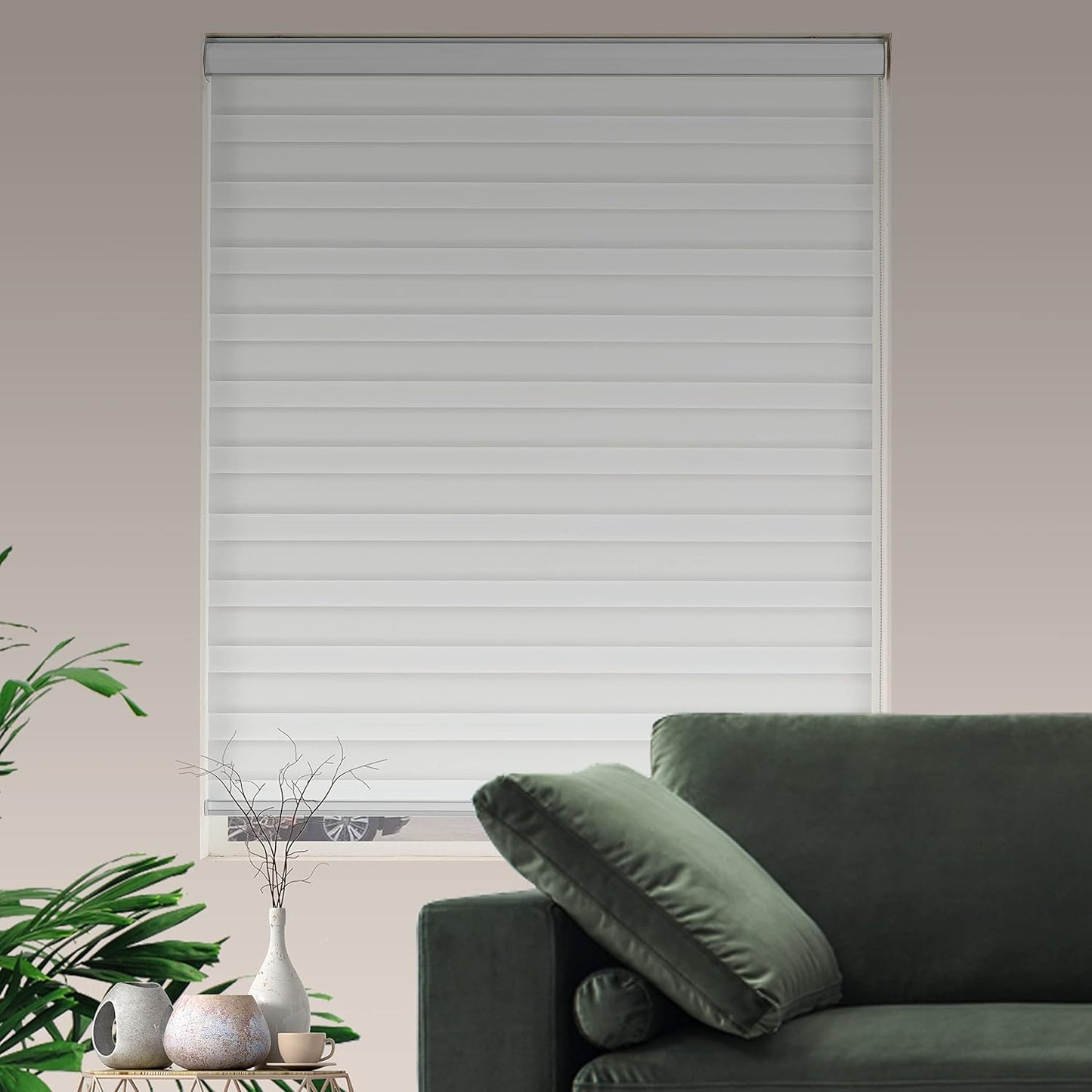 Zebra Roller Shades, Dual Layer Roll Up Blind for Living Room, Semi Sheer Shades Window Privacy Light Control for Day and Night, (Maximum Height 72inch, White Color, Width 25 inch)