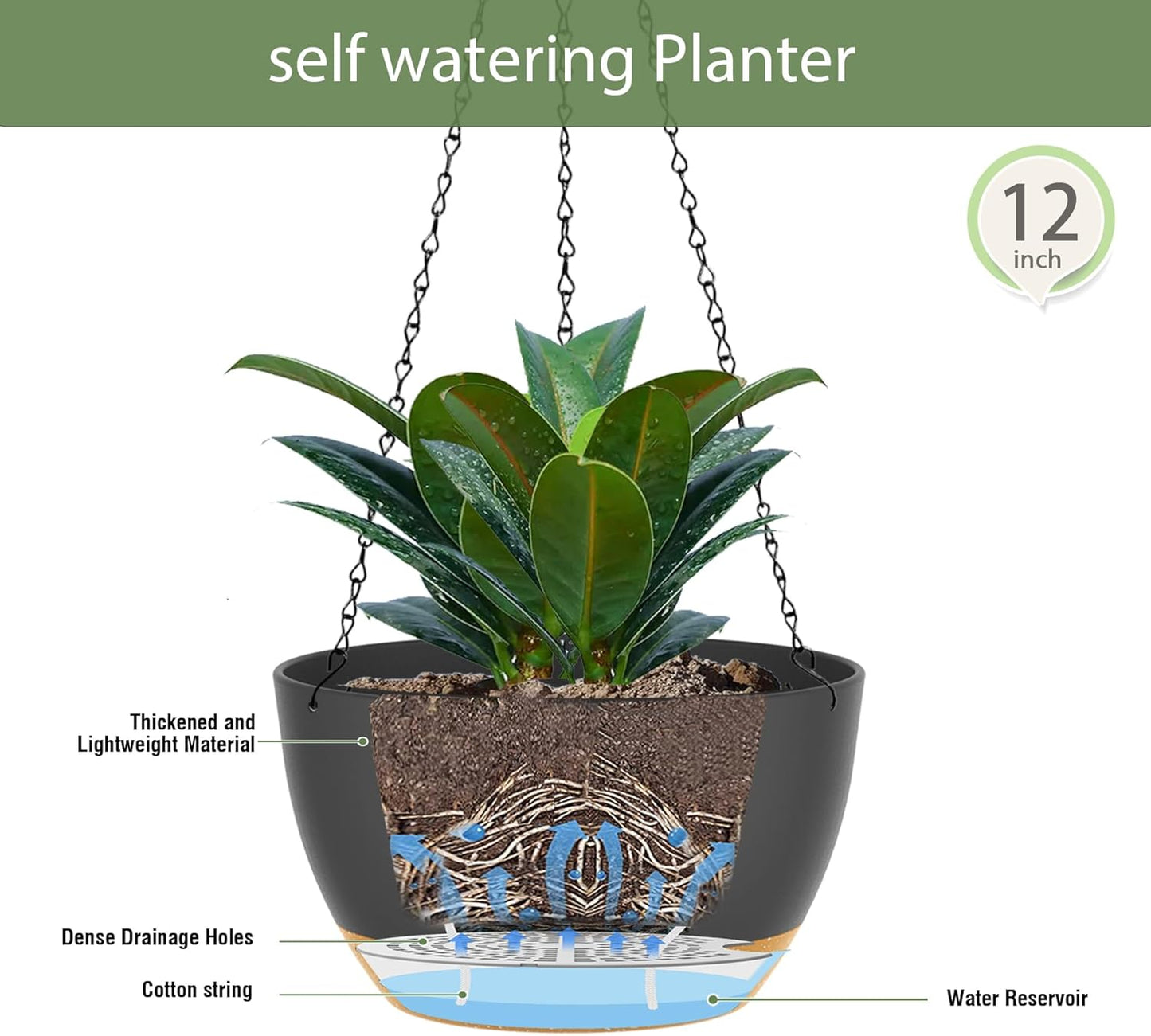 12 Inch Hanging Baskets 2 PC with Chains, Self-Watering Hanging Planters for Indoor Outdoor Plants, Plastic Hanging Flower Pots,Black Brown