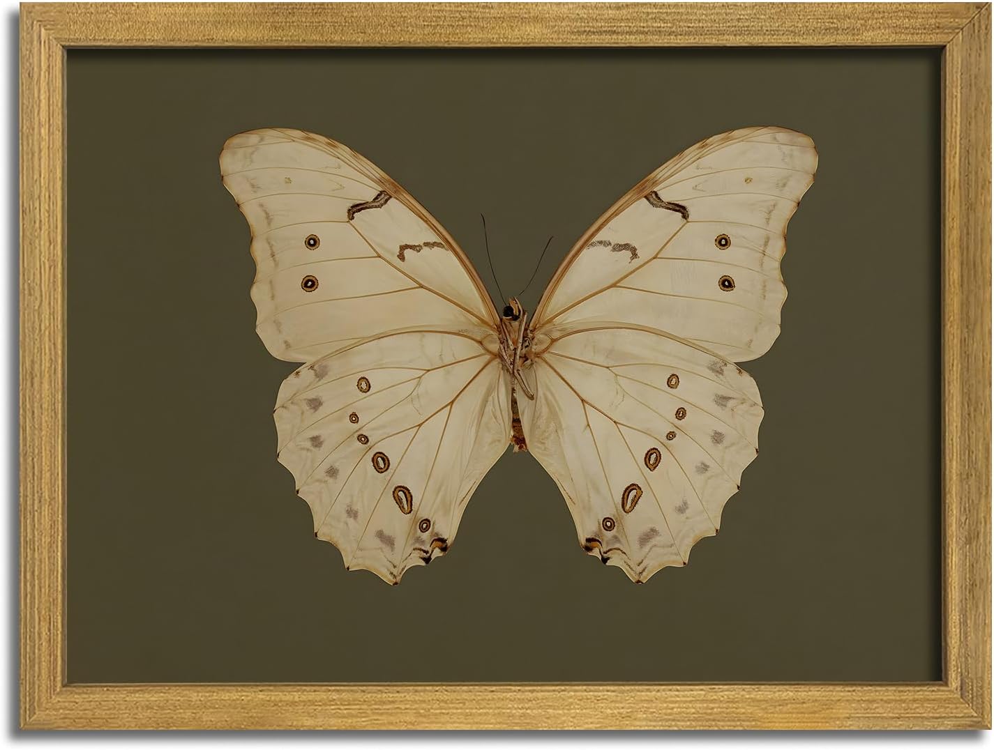Wood Framed White Butterfly Wall Art, Vintage Butterfly Oil Paintings, Dark Moody Insect Canvas Prints, Boho Sage Green Wall Decor, for Bedroom Kitchen Bathroom Cottagecore Room Decor - 12x16 Inch
