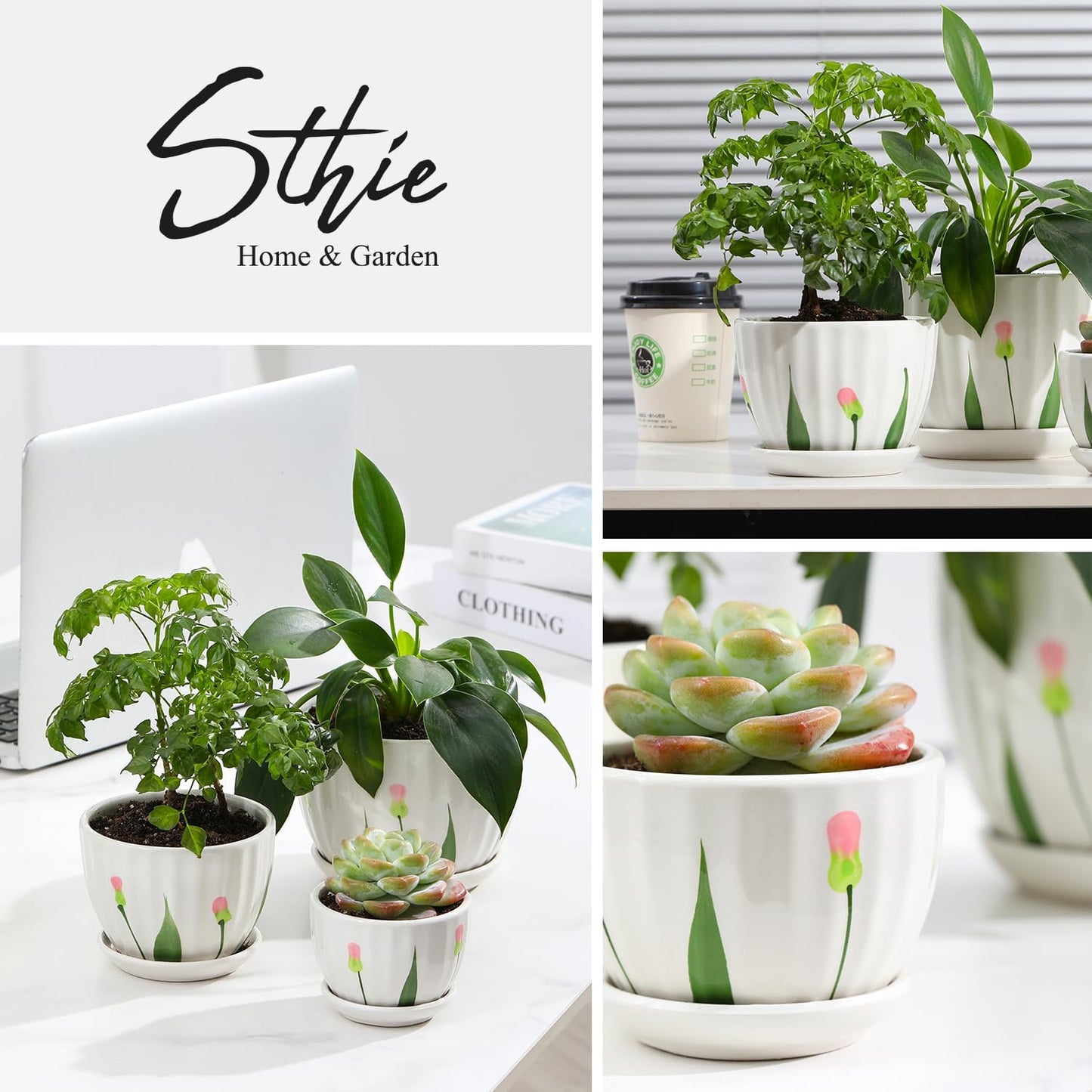 Ceramic Plant Pots with Drainage Holes and Saucers, Round White Flower Pots for Indoor Plant, Diameter 3.3/4.3/5.5 Inches Small Flower Planters Set of 3