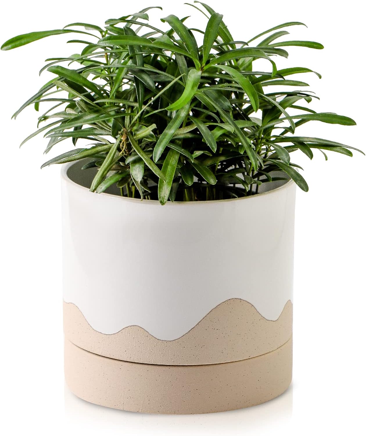 Nihow Ceramic Plant Pot: 6 Inch Planter with Drainage Hole & Saucer for Indoor & Outdoor Plants - Cylinder Round Flower Pot for Succulent/Herbs/Violets - White & Nature