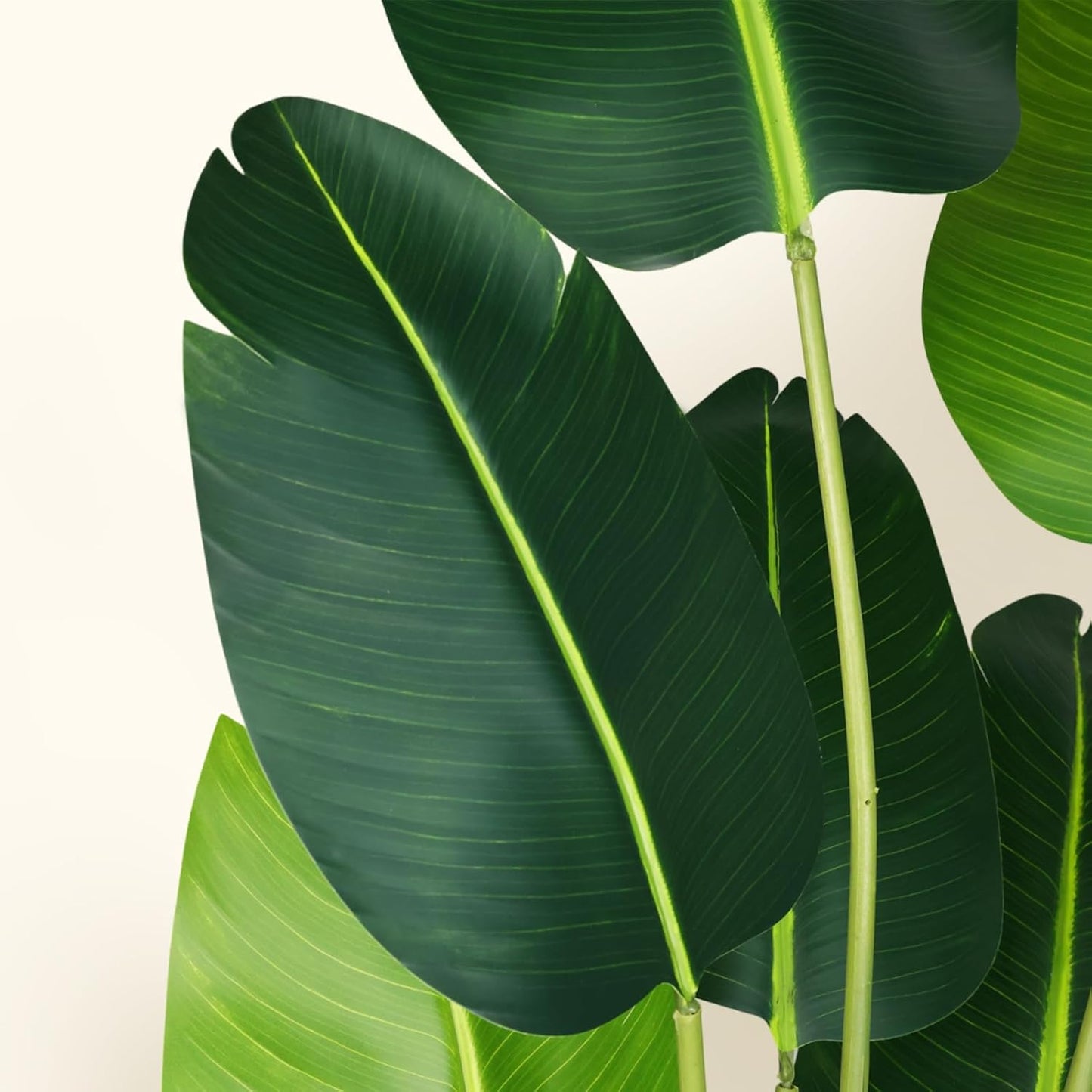 Artificial Bird of Paradise Plant 6Ft Fake Tropical Palm Tree with 13Trunks Faux Banana Leaf Trees in Pot for Home Indoor Outdoor Office Modern Decor Housewarming Gift