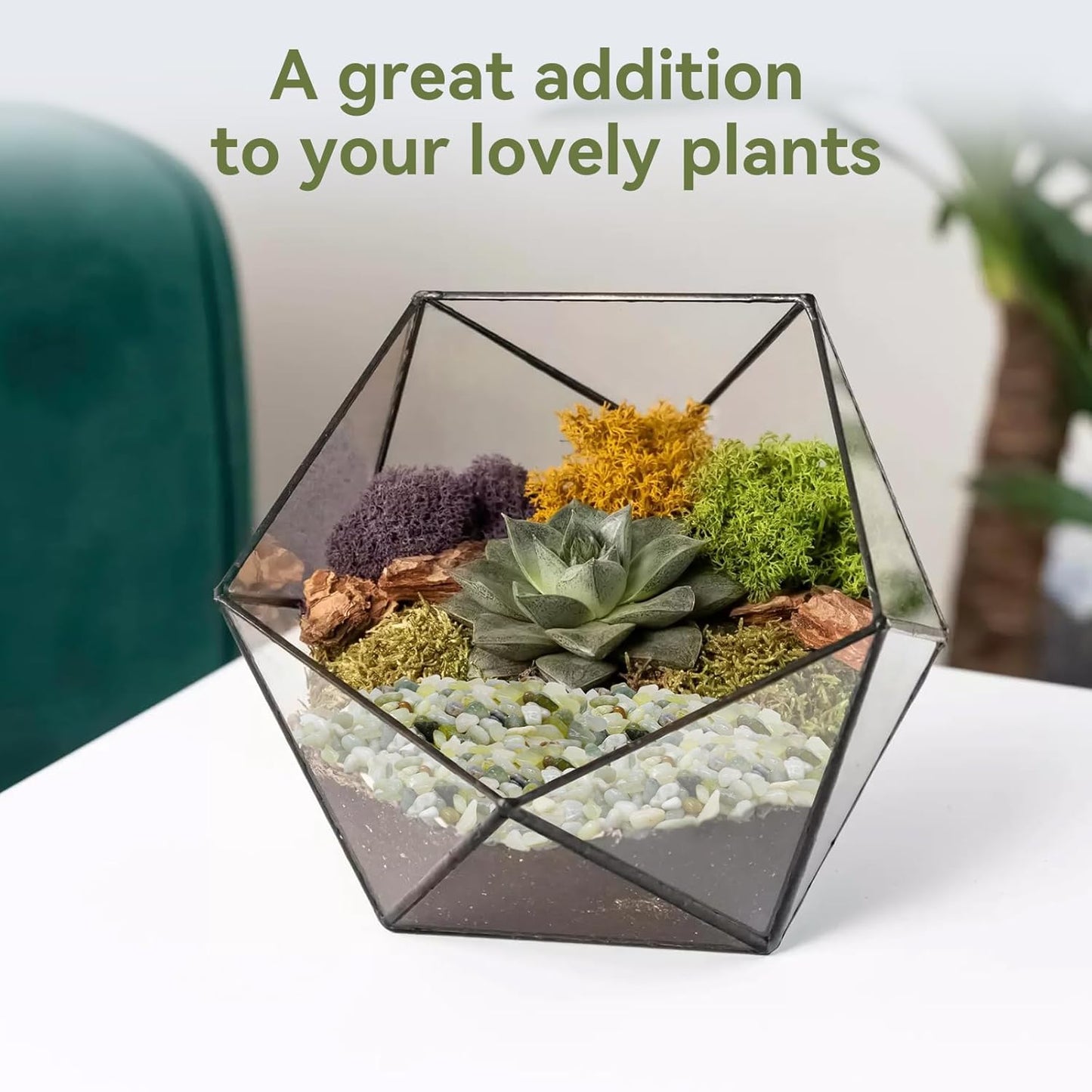 2.5LB Succulent and Cactus Pebbles, 1/5 Inch Jade Pebbles for Indoor Plants, Decorative Gravel for Vases, Bamboo, Succulent, Terrarium, Crafts, Cactus