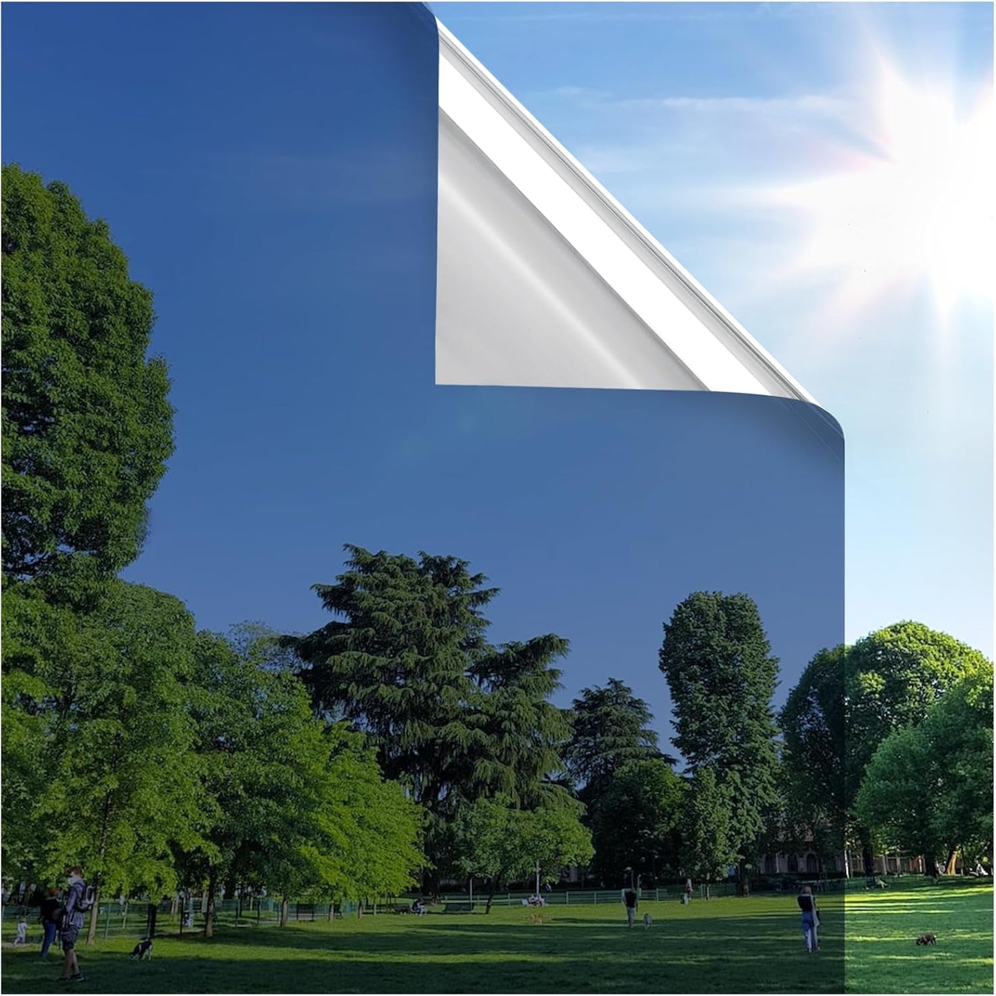 rabbitgoo Window Privacy Film One Way Window Tint for Home, Removable Reflective Heat Sun Blocking Anti UV Glass Door Covering, Mirror Tinting Film House Office, 23.6 in X 13.1 Feet, Blue Silver