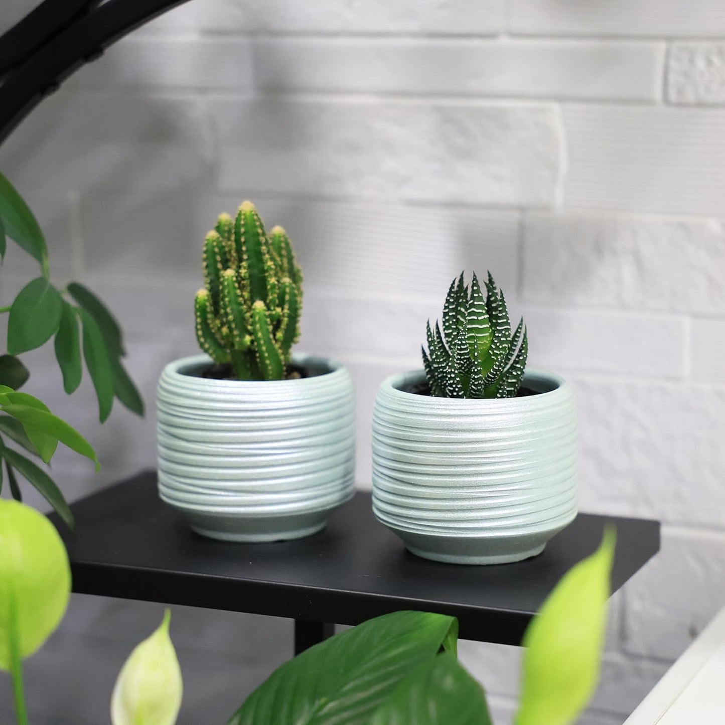 Mini Succulent Planter Set – 3.7 Inch Ceramic Pots with Drainage for Indoor Plants, Small Decorative Flower Pots for Cactus and House Plants, Set of 4