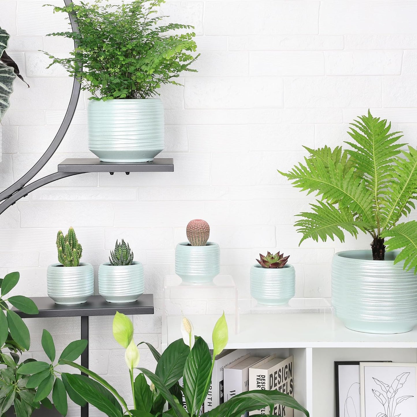 Mini Succulent Planter Set – 3.7 Inch Ceramic Pots with Drainage for Indoor Plants, Small Decorative Flower Pots for Cactus and House Plants, Set of 4