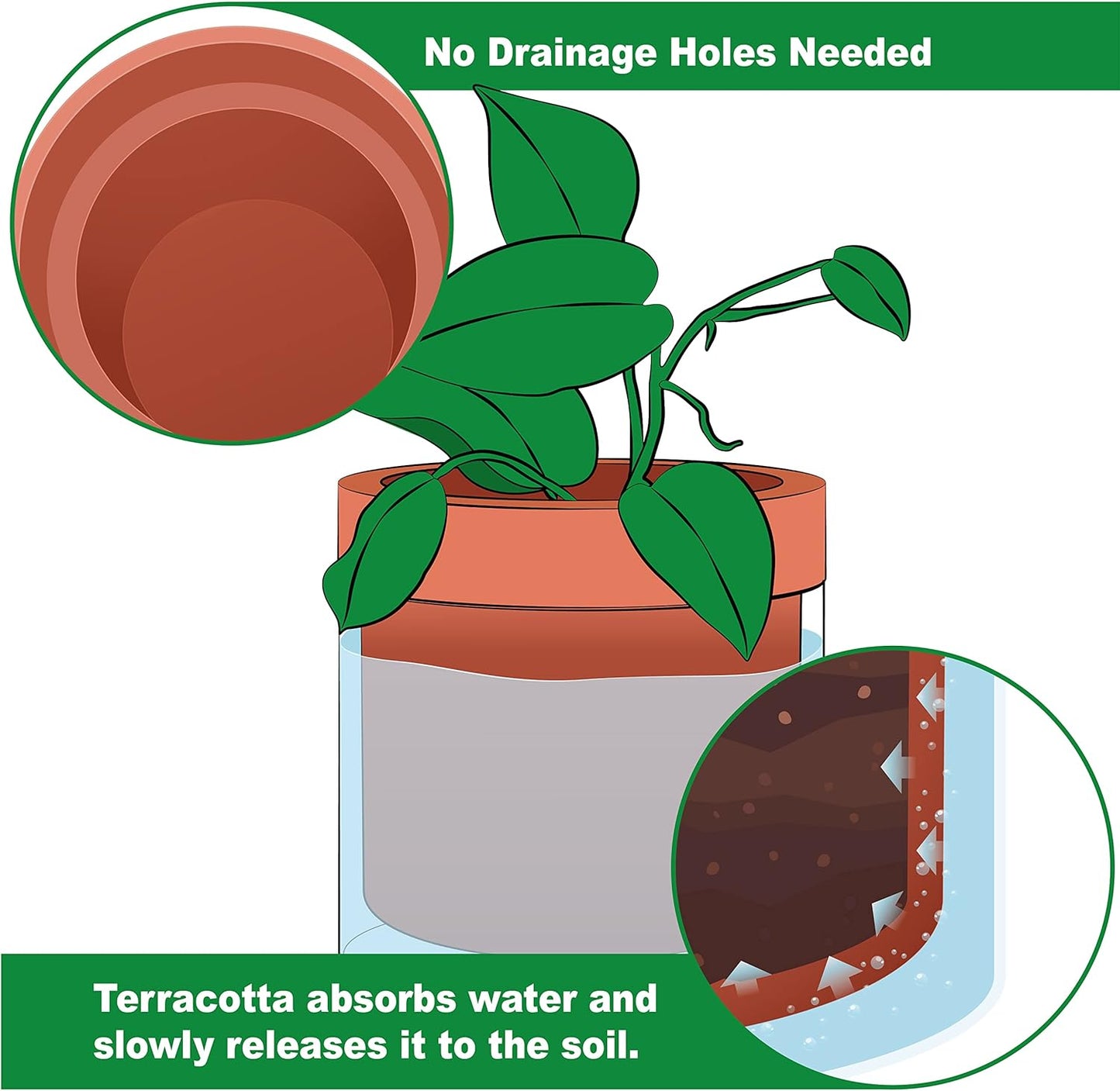 Phoenix Vine 6 Inch Self Watering Planter Pot, Terracotta Clay Pot with Glass Reservoir for Indoor Plants, Herbs, Flowers, Set of 2, 52-A-F-2