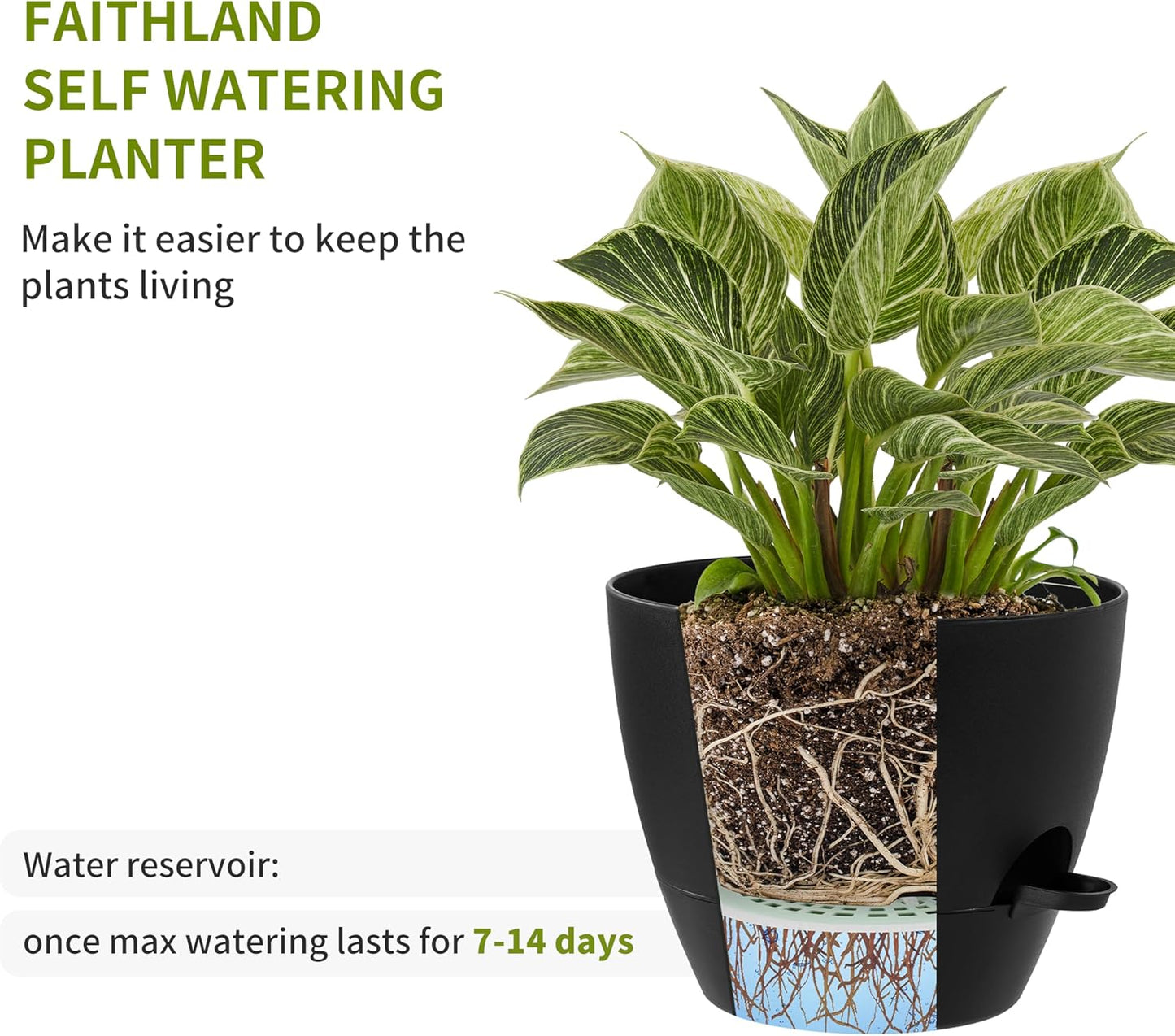 FaithLand 3-Pack Planter Pots, 10 9 8 Inch Self Watering Flower Pots for Indoor Outdoor Garden Plants, Black