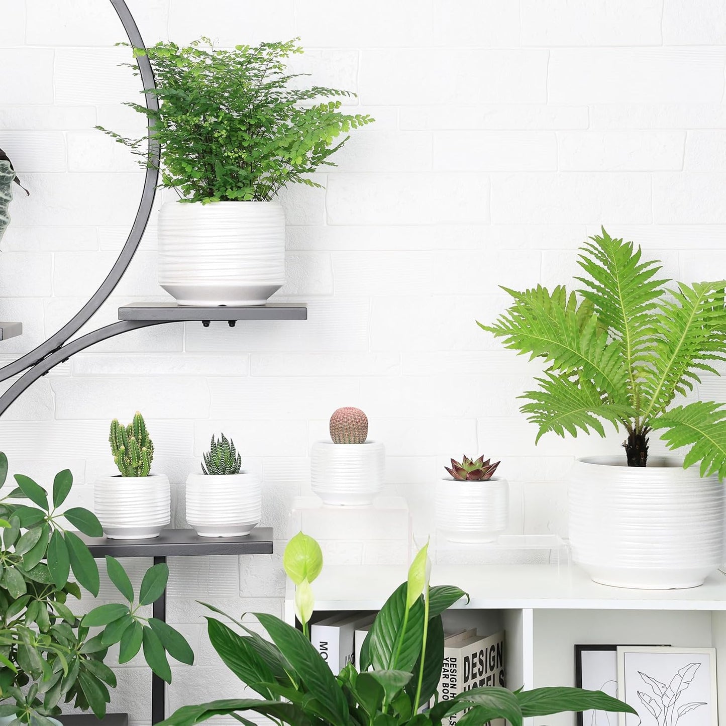 Mini Succulent Planter Set – 3.7 Inch Ceramic Pots with Drainage for Indoor Plants, Small Decorative Flower Pots for Cactus and House Plants, Set of 4