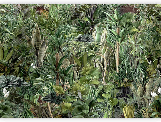 artgeist Premium Wall Mural Leaves 138x101 in - Non-Woven Wallpaper Fleece Wall Decor Photo Print Picture Image Design Plants Abstract Nature Botanical b-C-0858-a-a