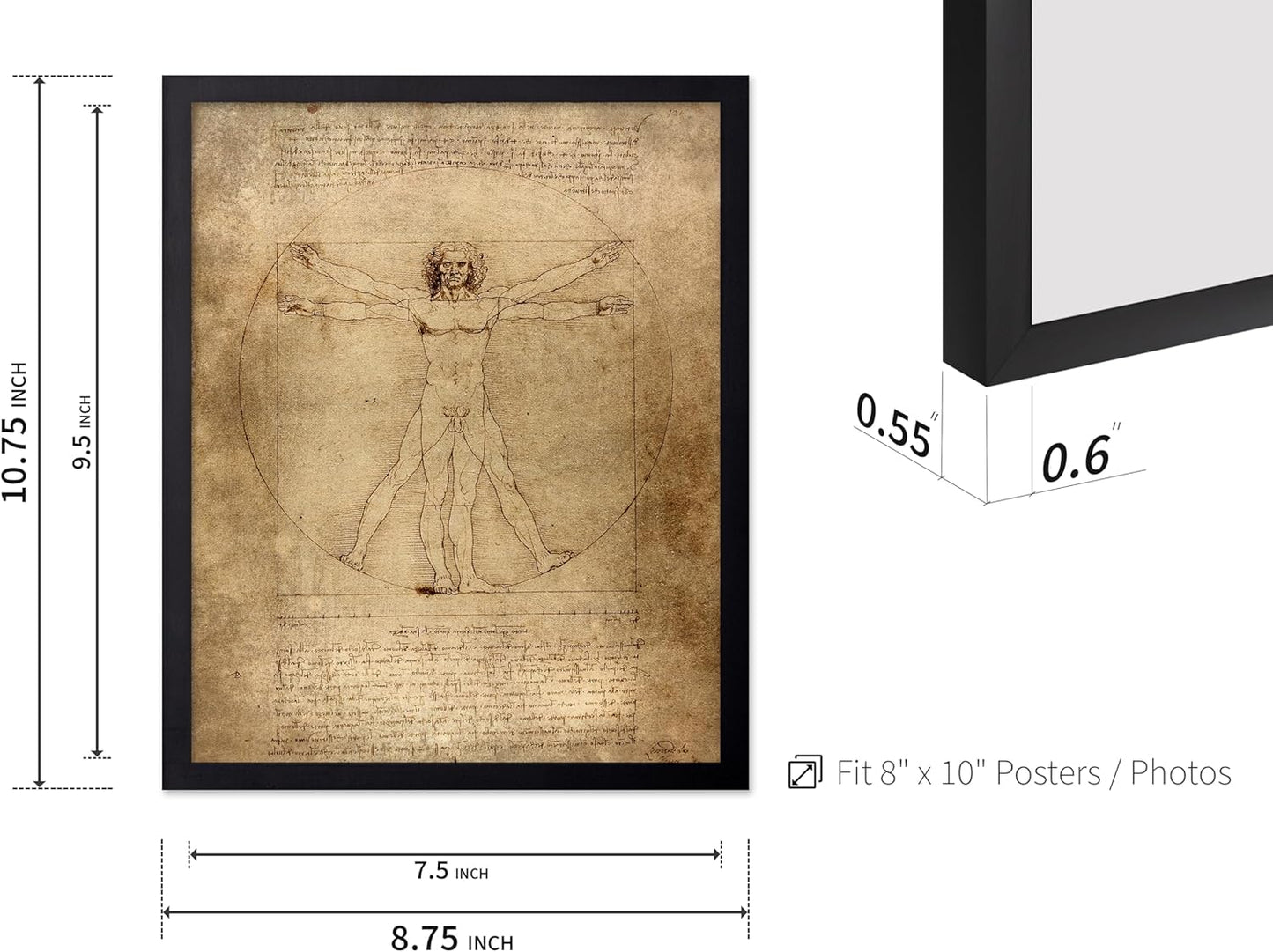 Poster Master Classic Leonardo Da Vinci Poster - Vintage Renaissance Print - Gift for Artist, Friend - Vitruvian Man, Proportion, Symmetry, Human Body - Wall Decor for Office, 8x10 Black Framed