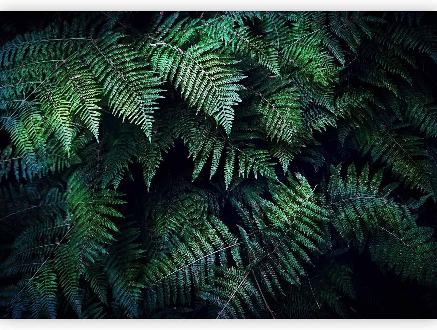 artgeist Premium Wall Mural 3D Effect 177x124 in - XXL Non-Woven Wallpaper Fleece Wall Decor Photo Print Picture Image Design Home Tropical Leaves b-C-0564-a-a