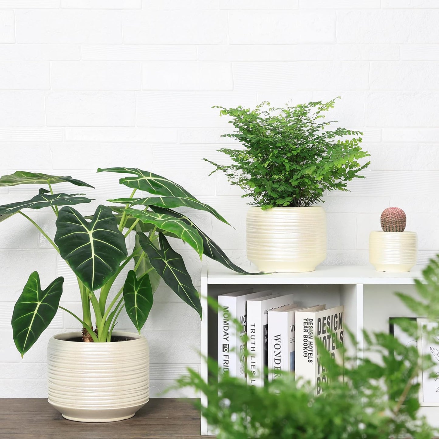 8 Inch + 6 Inch Ceramic Plant Pots Indoor with Drainage – Flower Pot Set, Decorative Indoor Planters for House Plants and Garden Use