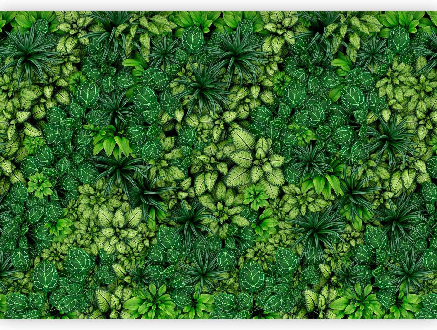 artgeist Wall Mural Plants 177x124 in - XXL Non-Woven Wallpaper Fleece Wall Decor Photo Print Picture Image Design Nature Botanics Tropical Leaves b-B-0601-a-a