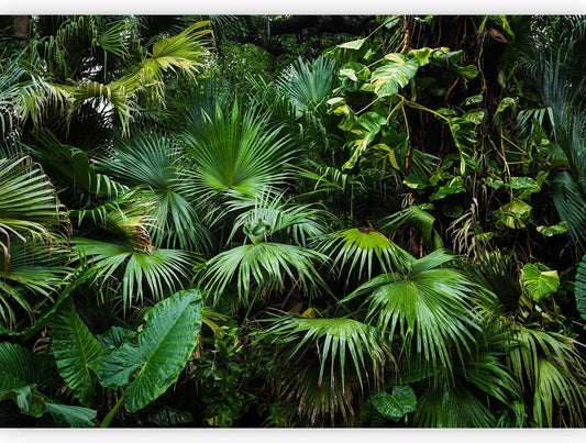 artgeist Wall Mural Tropical 79x55 in - XXL Non-Woven Wallpaper Fleece Wall Decor Photo Print Picture Image Design Home b-B-0312-a-a