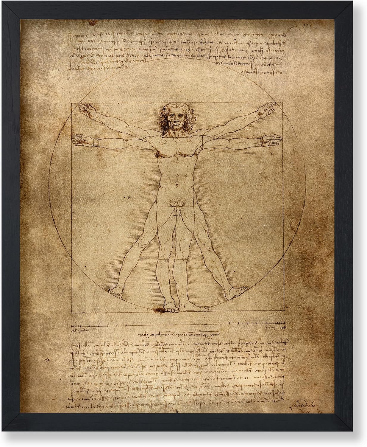 Poster Master Vintage Leonardo Da Vinci Poster - Retro Vitruvian Man Print - Drawing Art - Renaissance Art - Gift for Men & Women - Decor for Living Room, Bedroom or Office - 11x14 UNFRAMED Wall Art