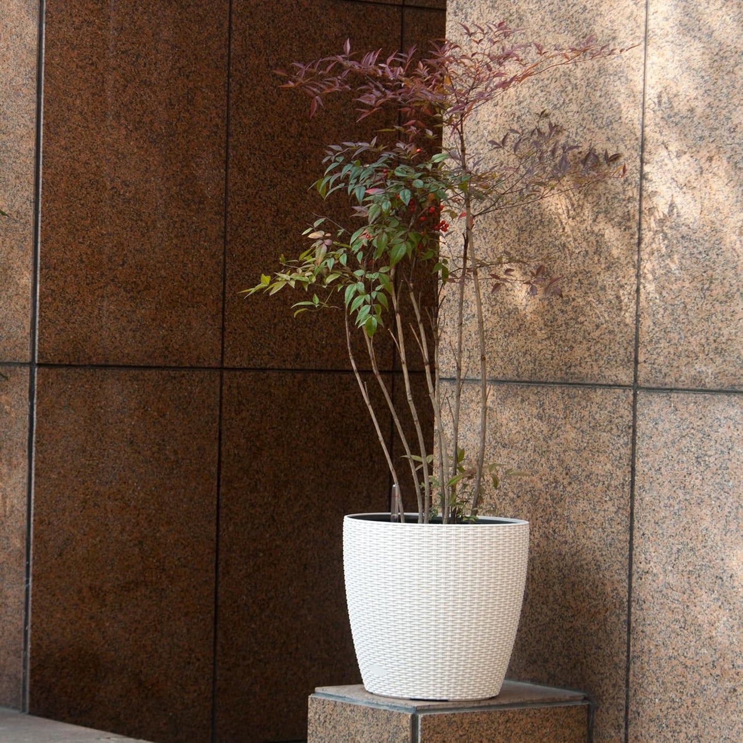 Dexceder 18x17 Inches Rattan Self Watering Planter Indoor Outdoor, Inner Pot Design, Thickened Table Flower Plant Pot with Water Level Indicator (Ivory White)